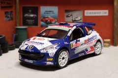 Peugeot 207 S2000 - Rally Monte-Carlo 2009 - Ogier-Ingrassia - scala 1/43